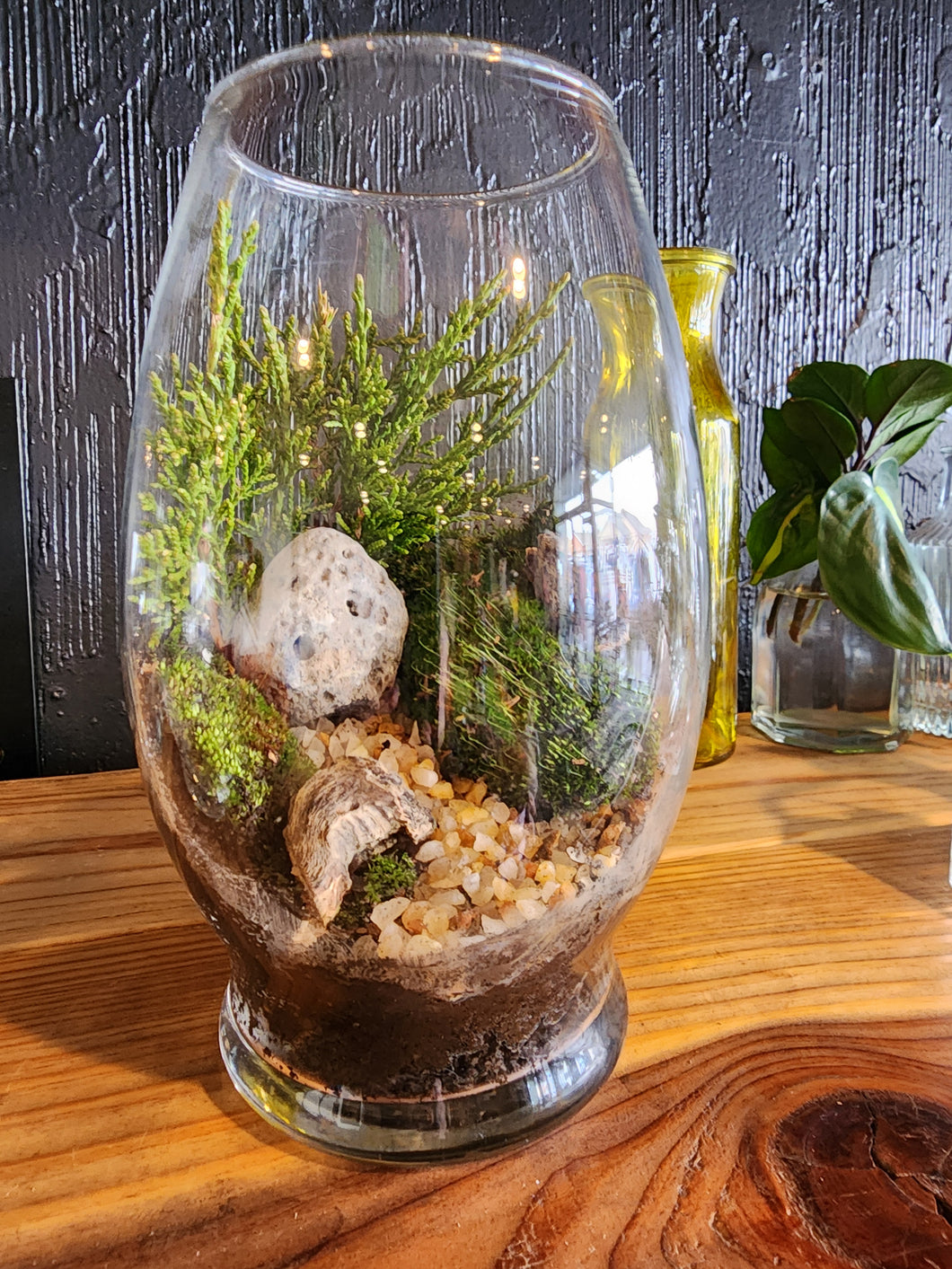 DIY Terrarium Building