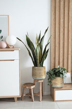 Load image into Gallery viewer, Rattan Wrap Look Planter
