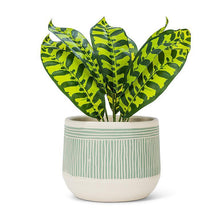 Load image into Gallery viewer, Green Lg Etched Planter-6.5&quot;D
