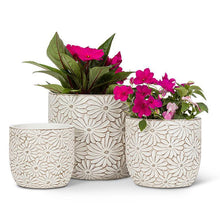 Load image into Gallery viewer, Sm Wht Daisy Round Planter-4&quot;H
