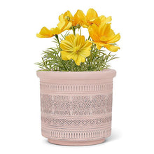 Load image into Gallery viewer, Embossed Band Planter-5&quot;H
