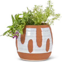 Load image into Gallery viewer, Md Dot&amp;Dash Barrel Planter-5&quot;H
