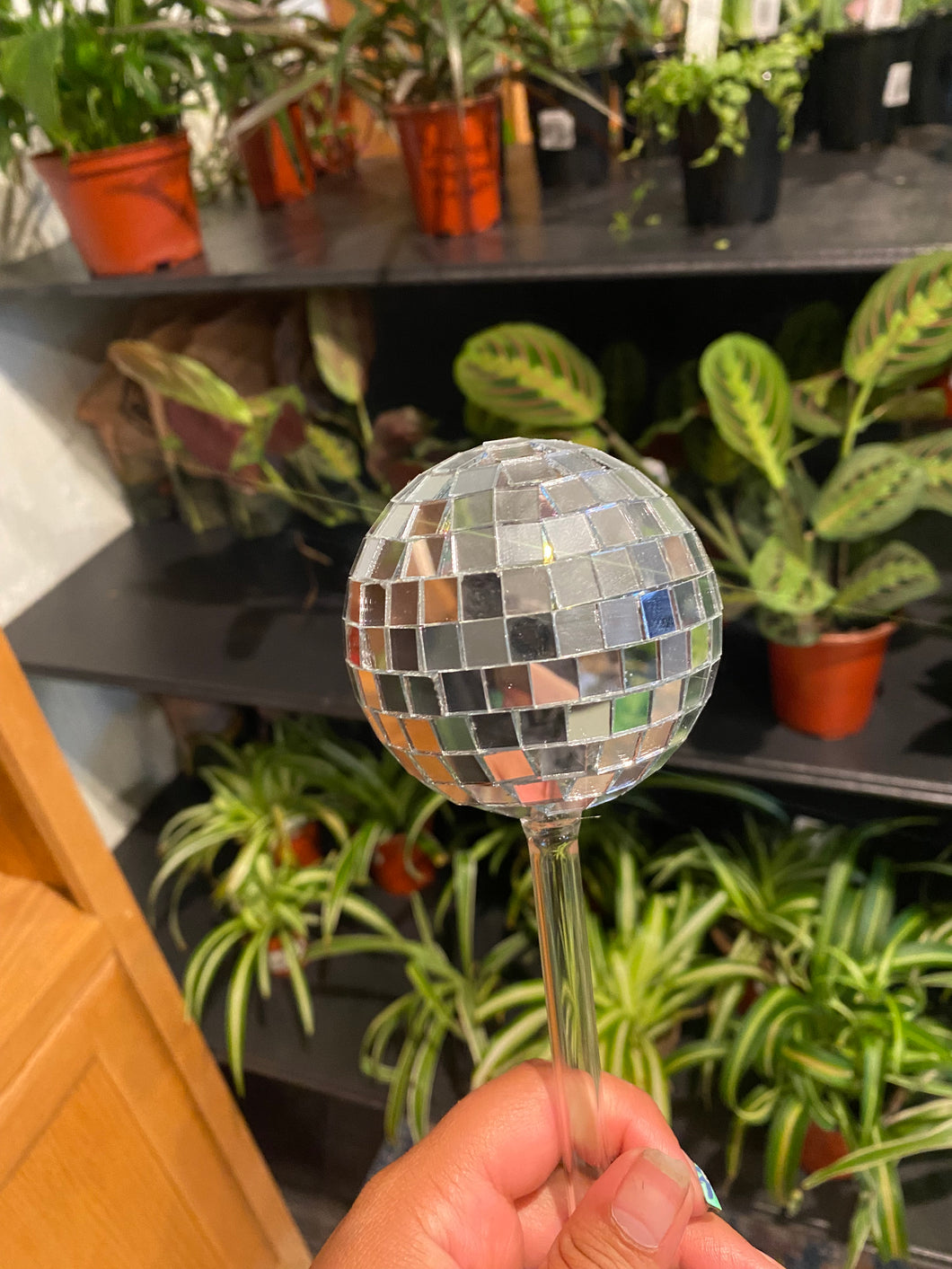 Disco Watering Globe